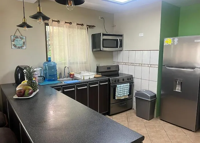 Tropical In Apartment