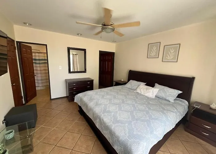 Tropical In Apartment